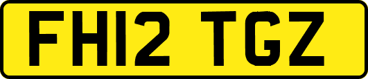 FH12TGZ