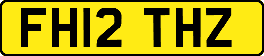 FH12THZ