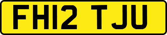 FH12TJU
