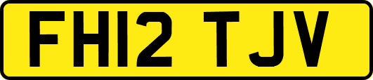 FH12TJV