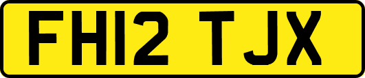 FH12TJX