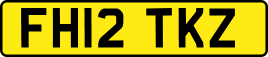 FH12TKZ