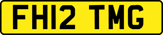 FH12TMG