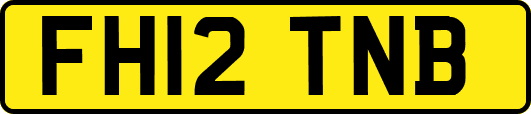 FH12TNB
