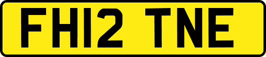 FH12TNE