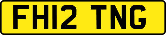 FH12TNG