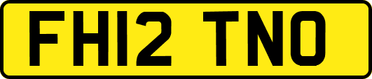 FH12TNO