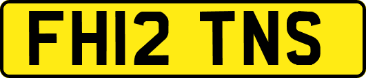 FH12TNS