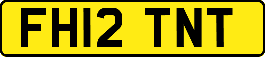 FH12TNT