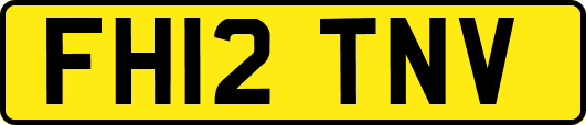 FH12TNV
