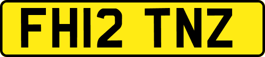 FH12TNZ