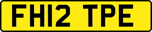 FH12TPE