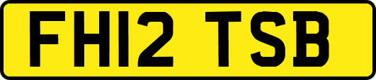 FH12TSB