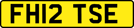 FH12TSE