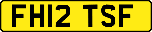 FH12TSF
