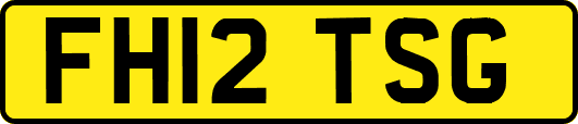 FH12TSG