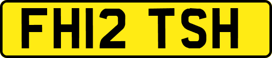 FH12TSH