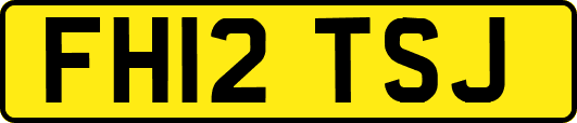 FH12TSJ