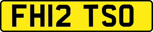 FH12TSO