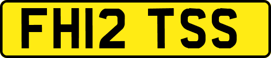 FH12TSS