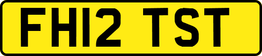 FH12TST