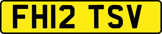 FH12TSV