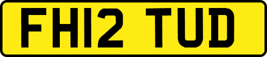 FH12TUD
