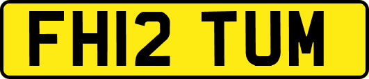 FH12TUM