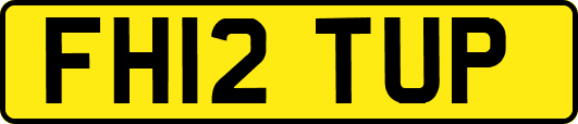 FH12TUP