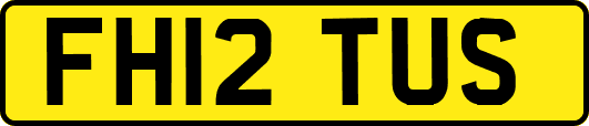 FH12TUS