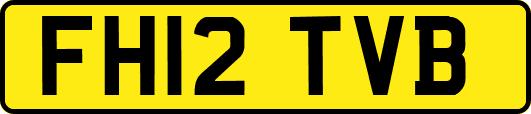 FH12TVB