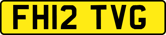 FH12TVG