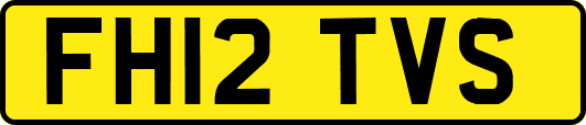 FH12TVS