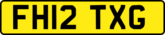 FH12TXG