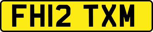 FH12TXM