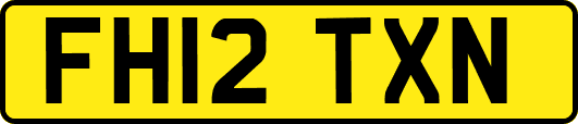 FH12TXN