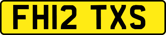 FH12TXS