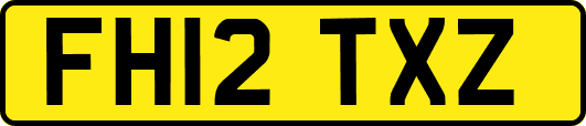 FH12TXZ