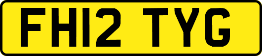 FH12TYG