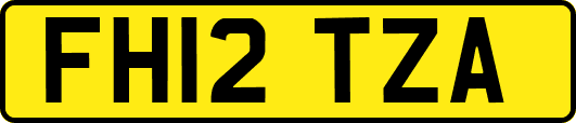 FH12TZA