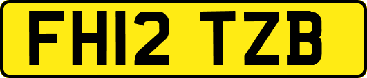 FH12TZB