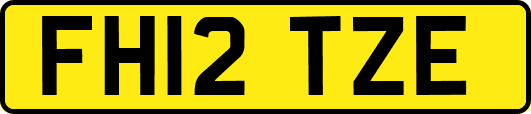 FH12TZE