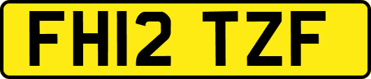 FH12TZF