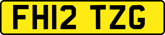 FH12TZG