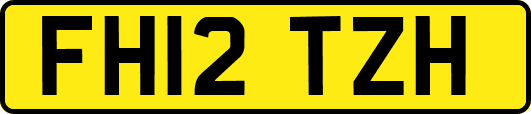 FH12TZH