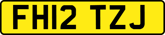 FH12TZJ