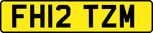 FH12TZM