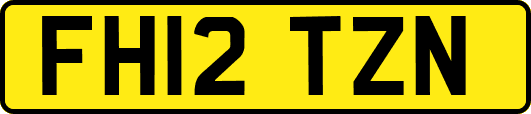 FH12TZN