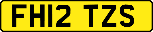 FH12TZS