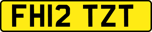 FH12TZT